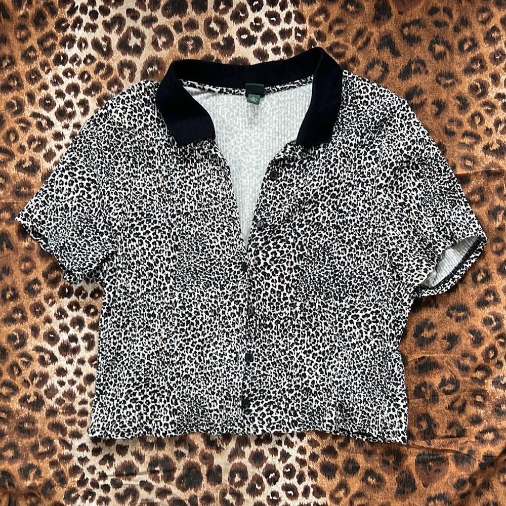 Cheetah Print Collared Crop Top